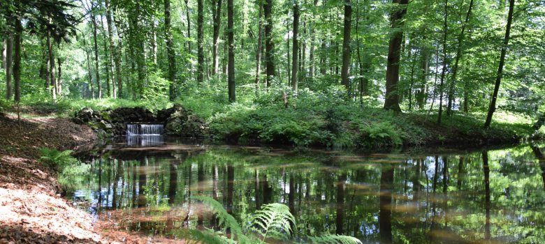 Wandeling op landgoed Biljoen