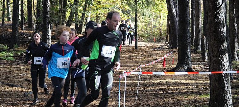 Maple Leaf Cross Hilversum