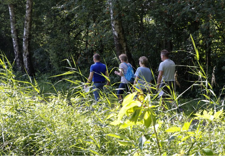 MIDZOMERWANDELING