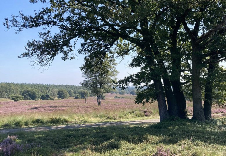 Cultuurhistorische wandeling, Loenermark