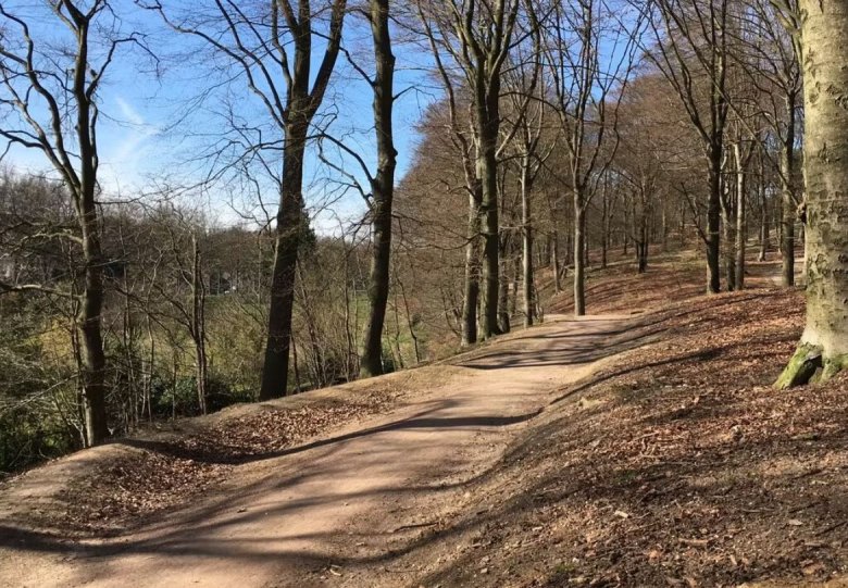 Workshop ‘Ontspanning & Natuur’