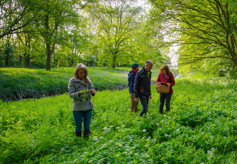 Eetbare wilde plantenwandeling rondom infocentrum IJssel Den Nul
