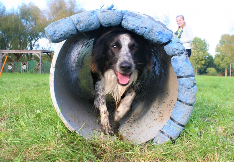 Expeditie Dierendag voor hond en baasje