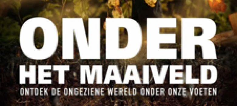 Film: onder het maaiveld