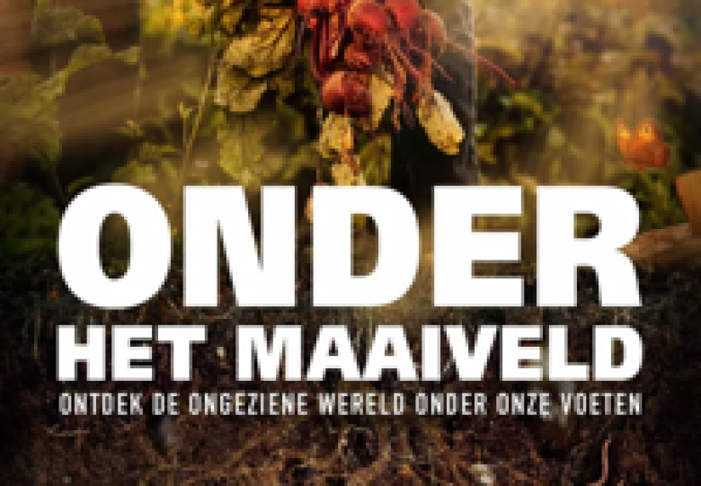 Film: onder het maaiveld