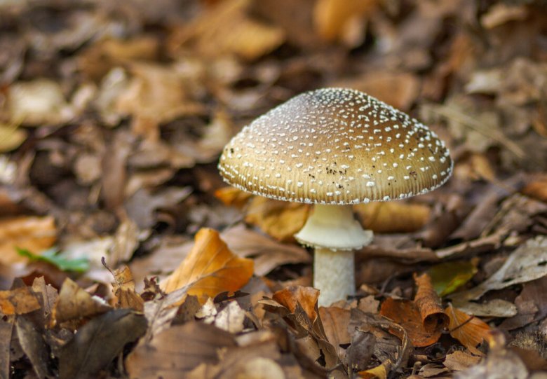 Heden en verleden Orderbos