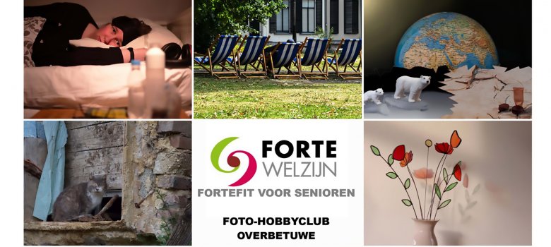 STIL/LEVEN. Zeventien persoonlijke interpretaties