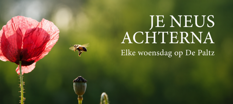 Rondleiding – Je neus achterna