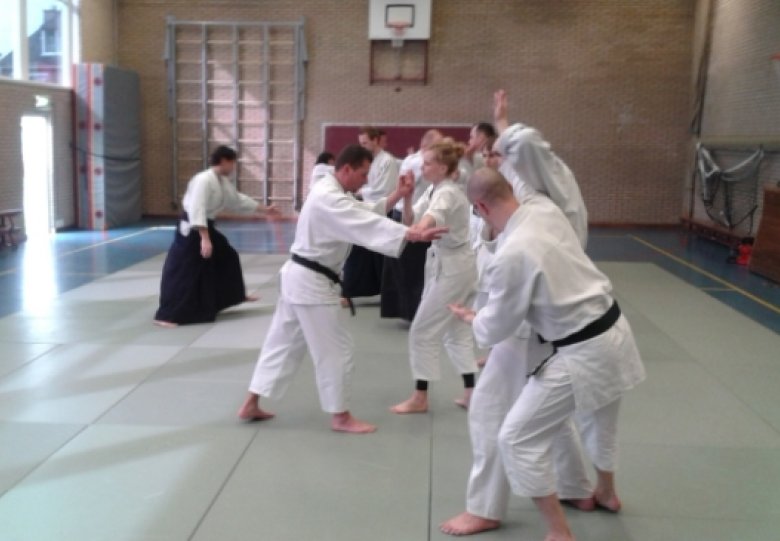 Aikido Training