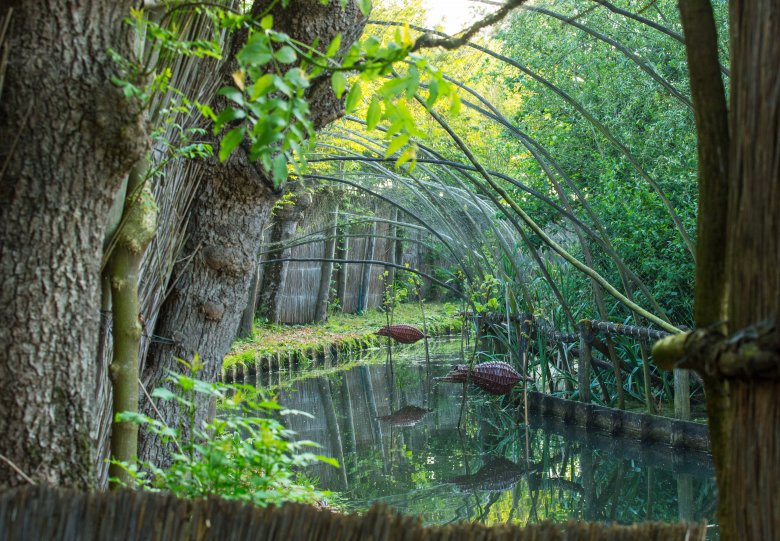 Eendenkooi rondleiding Batenburg