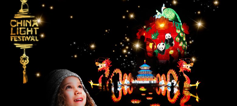 China Light Festival 