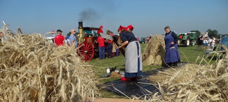 Oogstfeest Krommerijnstreek