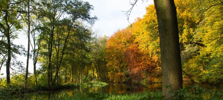 Historische wandeling Doorwerth en Duno