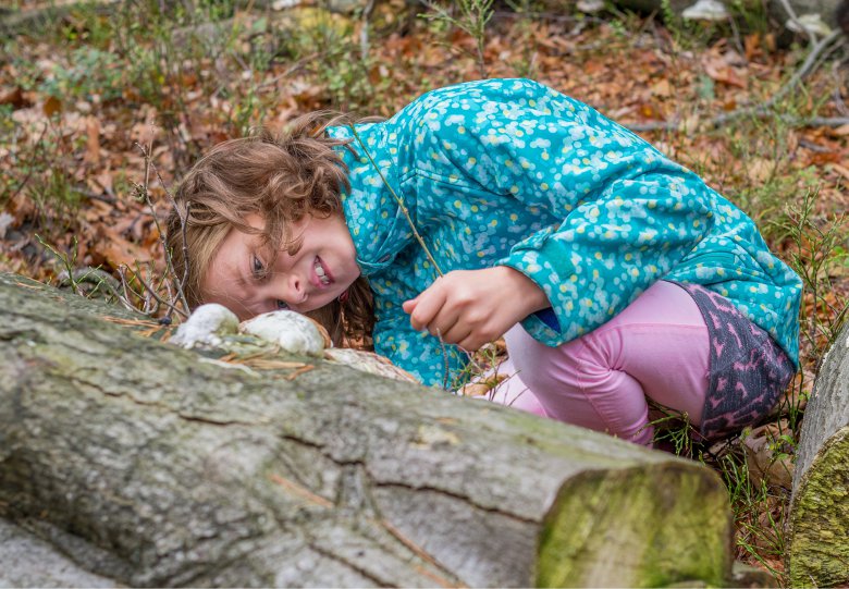 Bezig in het bos op landgoed Waardenburg en Neerijnen