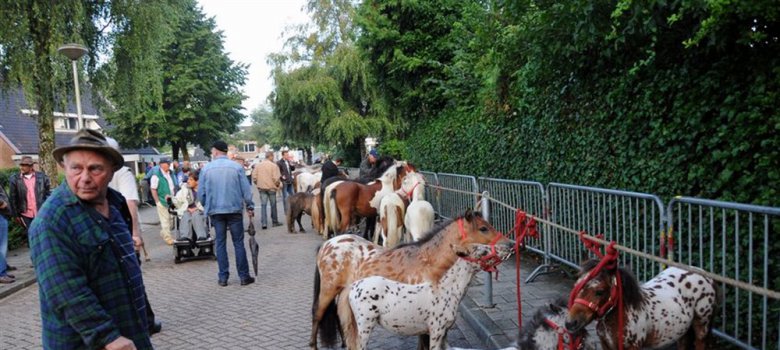 Ponymarkt Bemmel