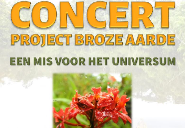 Concert project Broze Aarde