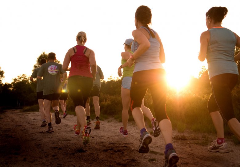Safari-Joggen hardloopsafari