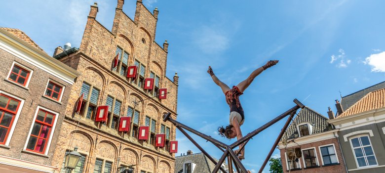 Verrassend Doesburg 