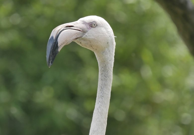 Dierenpark ZiE-ZOO