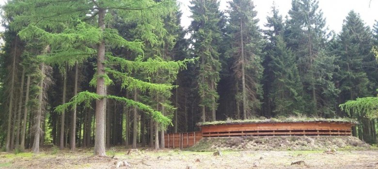 Wildarena de Witte Hoogt in het Speulderbos