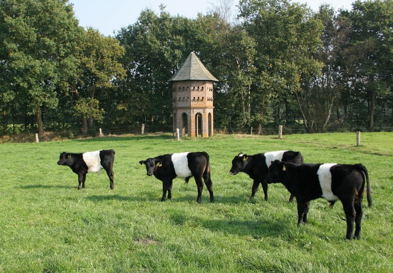 Fietstocht Staverden