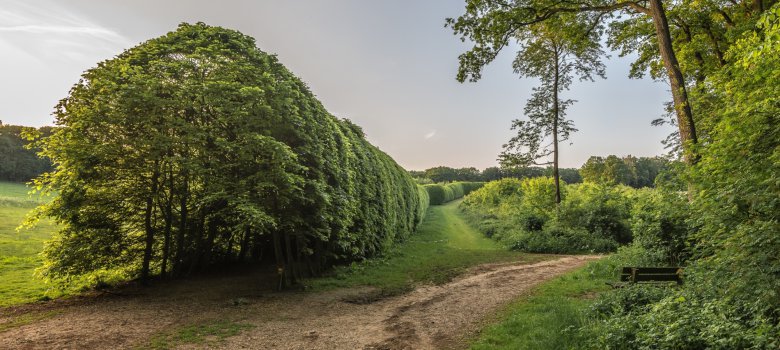 Wandeling historie en archeologie op landgoed Mariëndaal