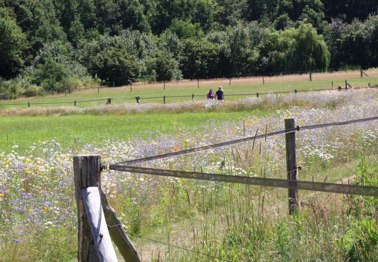 Wandelen en zingen