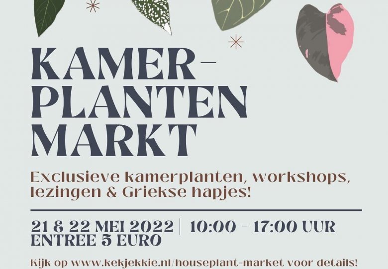 Bijzondere kamerplanten markt