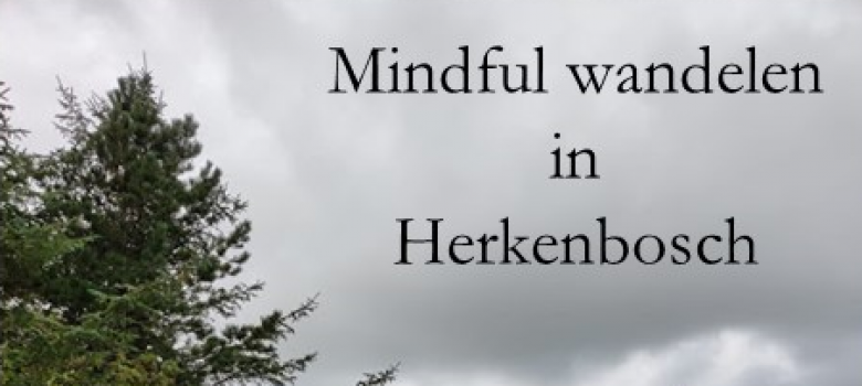 Mindful wandelen in Herkenbosch