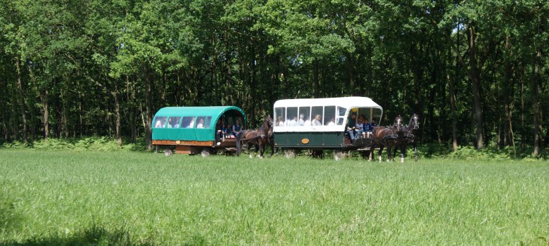5edere woensdag een Staverdense Huifkartocht