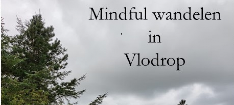 Mindful wandelen in Vlodorp