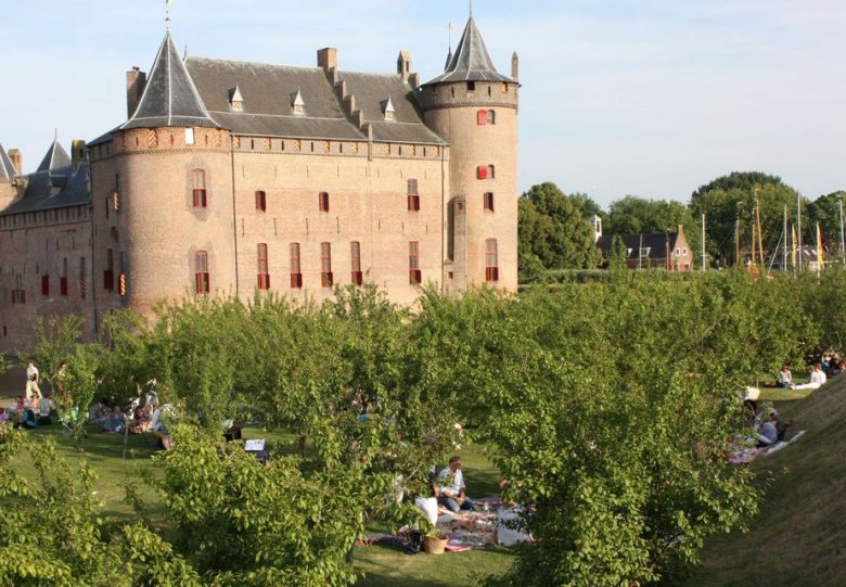 Midzomeravondpicknick & yoga dag