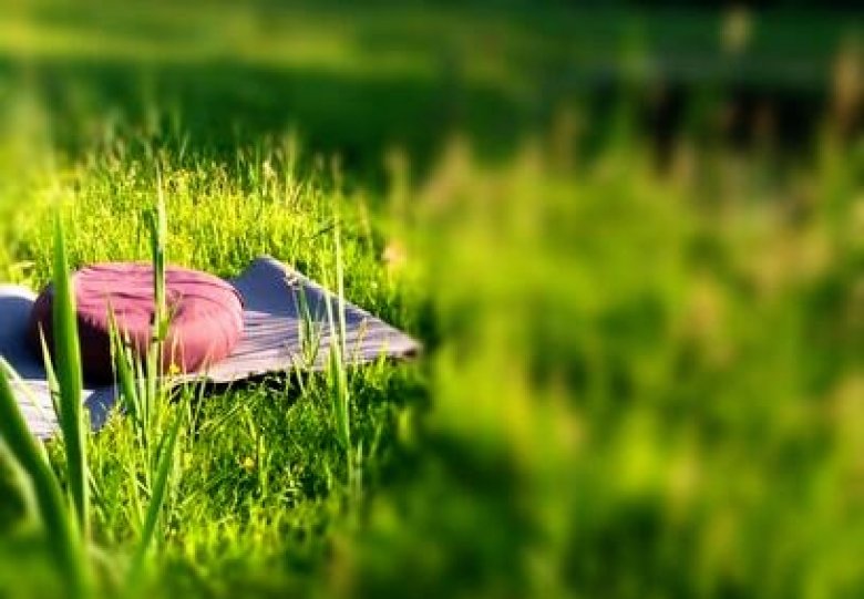 8- weekse mindfulness training in Epe
