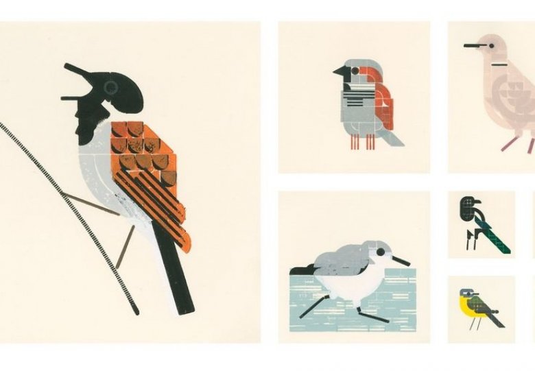 50 vogels | Roy Scholten