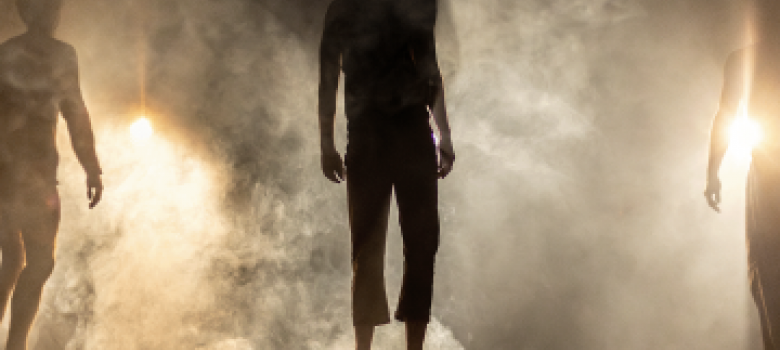 Collectief het Paradijs