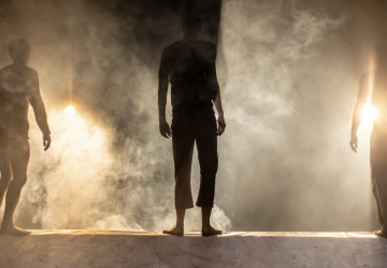 Collectief het Paradijs