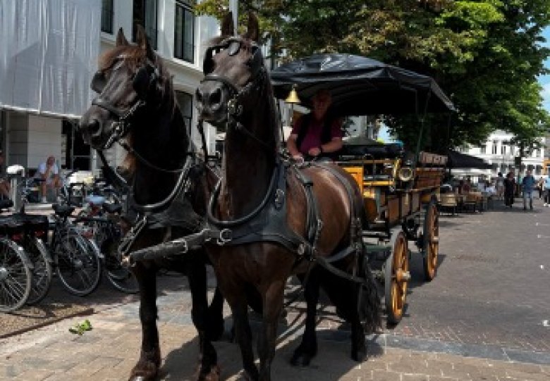 Deventer Paardentram