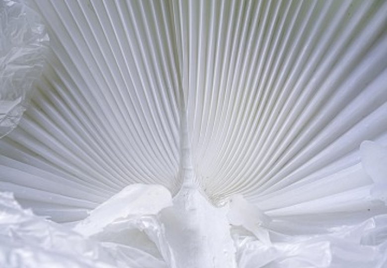 Tentoonstelling 05