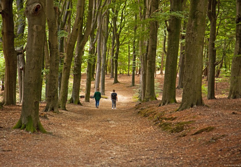 Amerongse verwondertocht