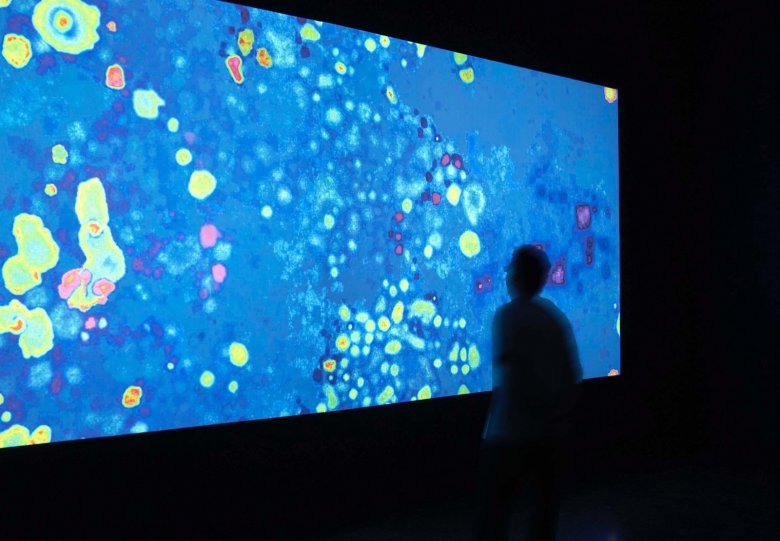 Tentoonstelling De paddenstoel aan het einde van de wereld