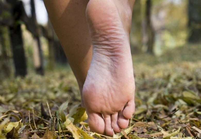 Blotevoeten wandeling (gratis)