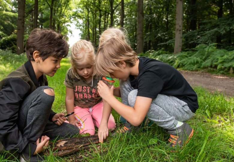 OERRR Struinen en afdrukken maken