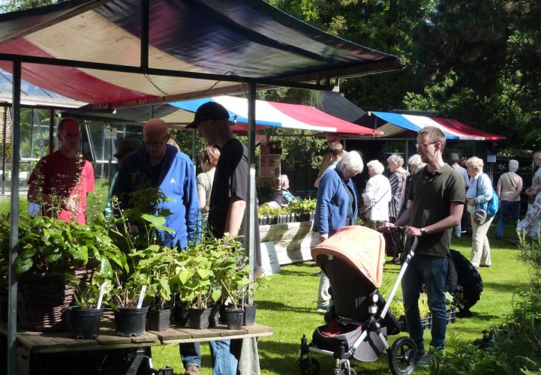 Plantenmarkt 'Stoer in de Schaduw'