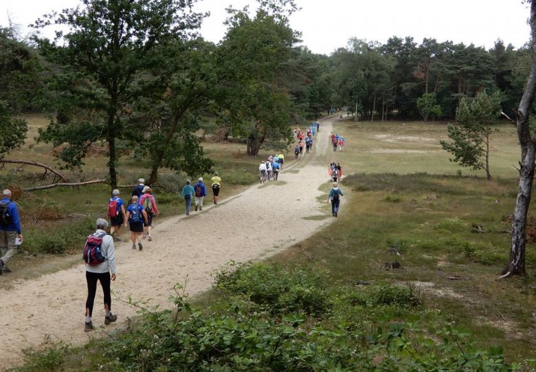 Wandelvierdaagse het Gooi