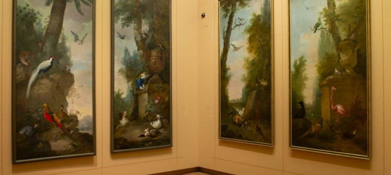 Vorstelijke Vogels