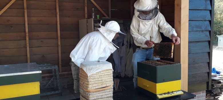 Open Bijenstal: Ontdek het leven van bijen