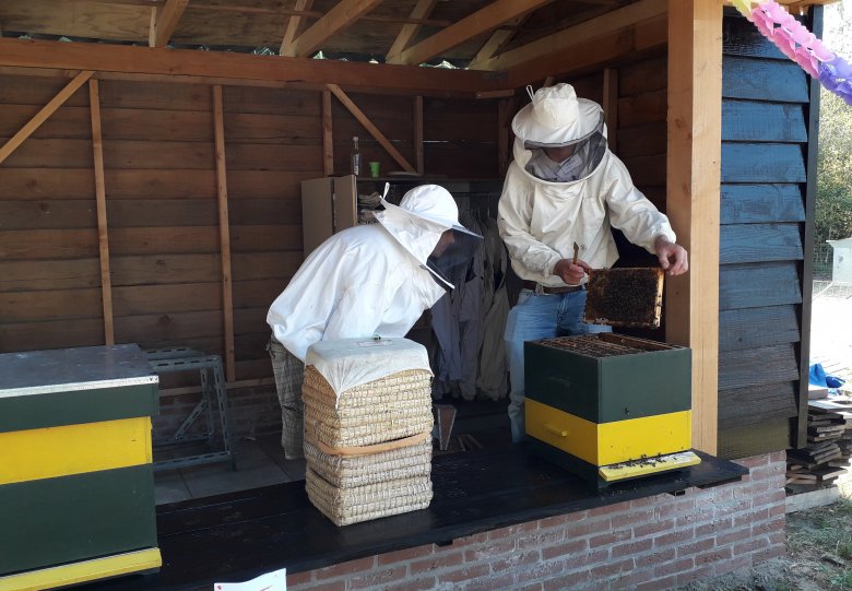 Open Bijenstal: Ontdek het leven van bijen