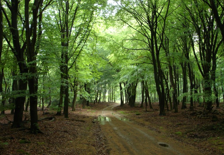 Zintuigenwandeling met Jacqueline en Jan
