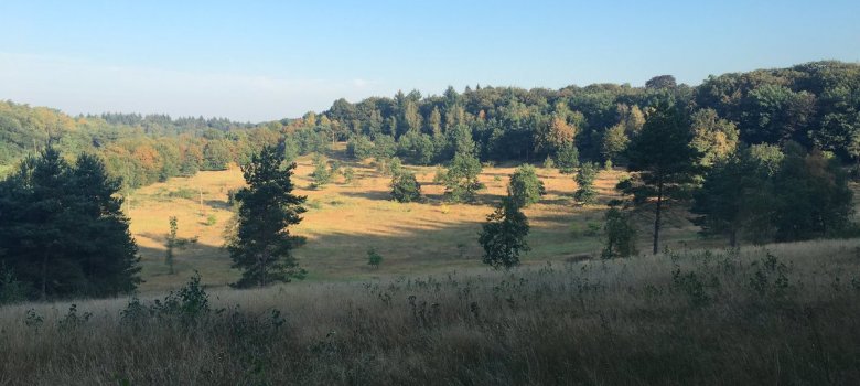 Natuurwandeling landgoed De Paltz