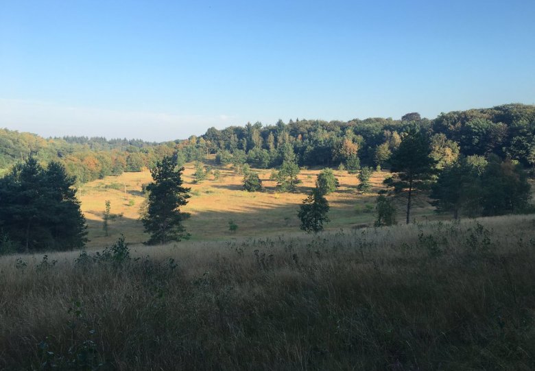 Natuurwandeling landgoed De Paltz
